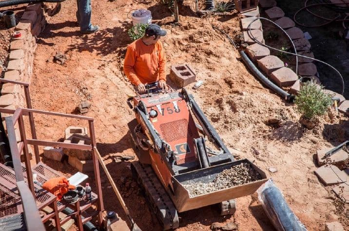 Backyard with planted trees